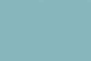 Линолеум Forbo Furniture Linoleum 4180 aquavert фото  | FLOORDEALER